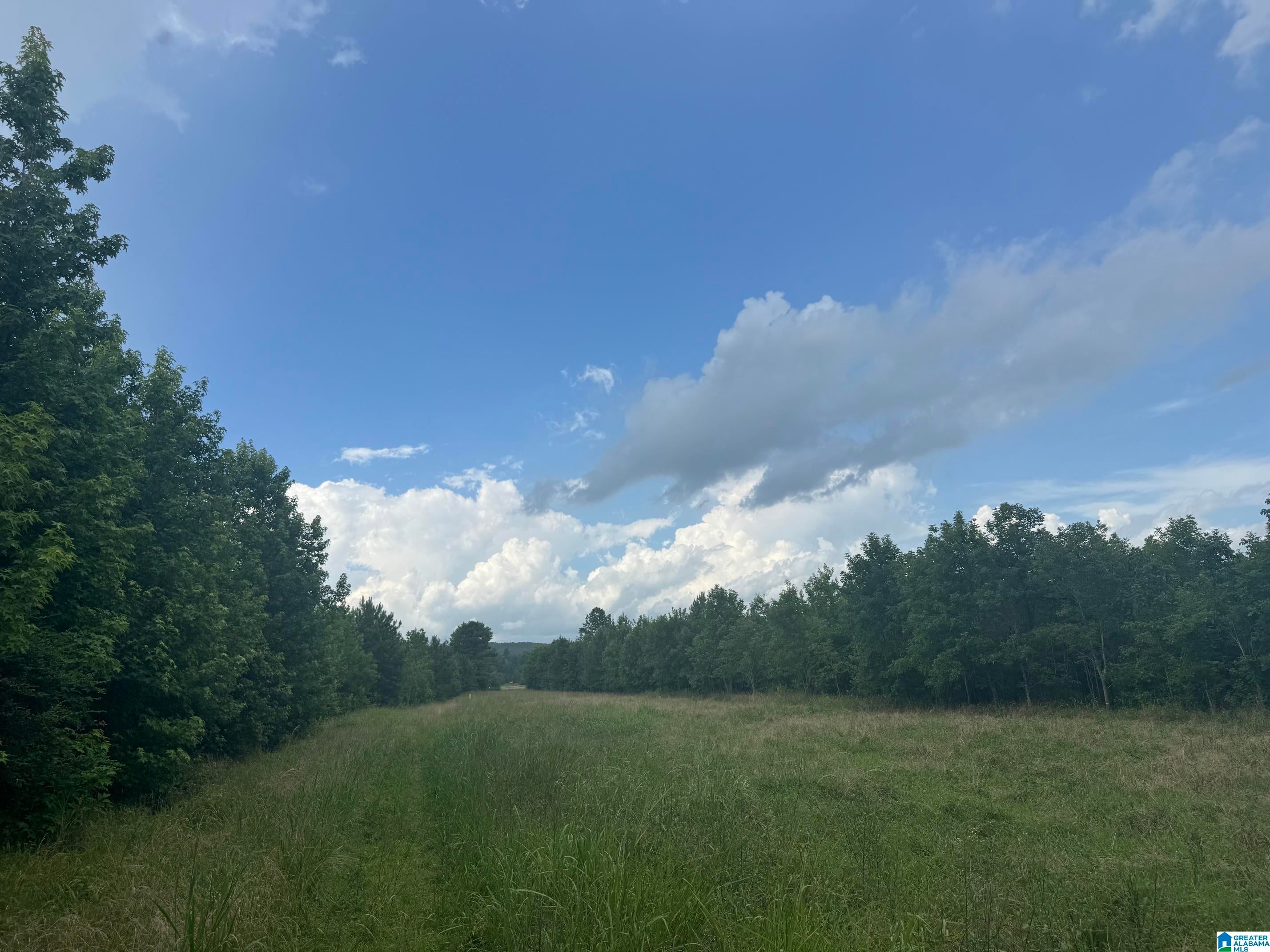 Tbd Guinns Cove Road Hayden, AL 35079 - Photo 17 of 23 Gallery Image 17