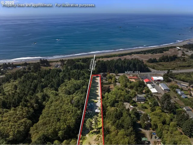 a view of a backyard with plants and lake