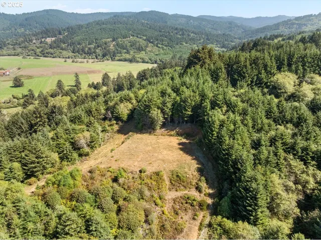 a view of a field with an ocean