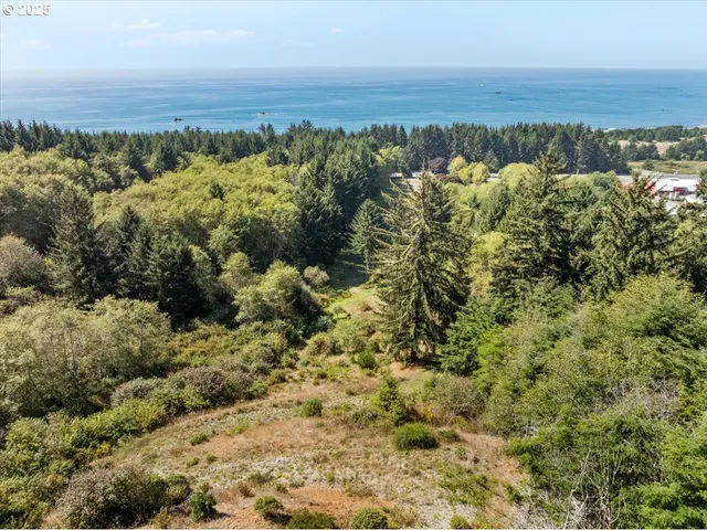 view of city and ocean