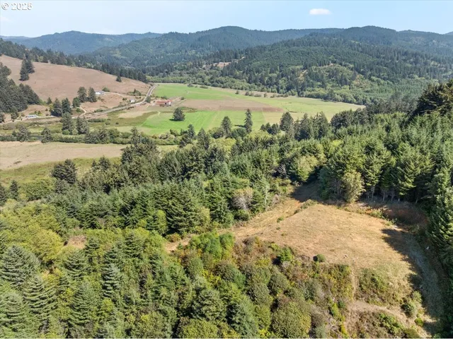 a front view of house with yard