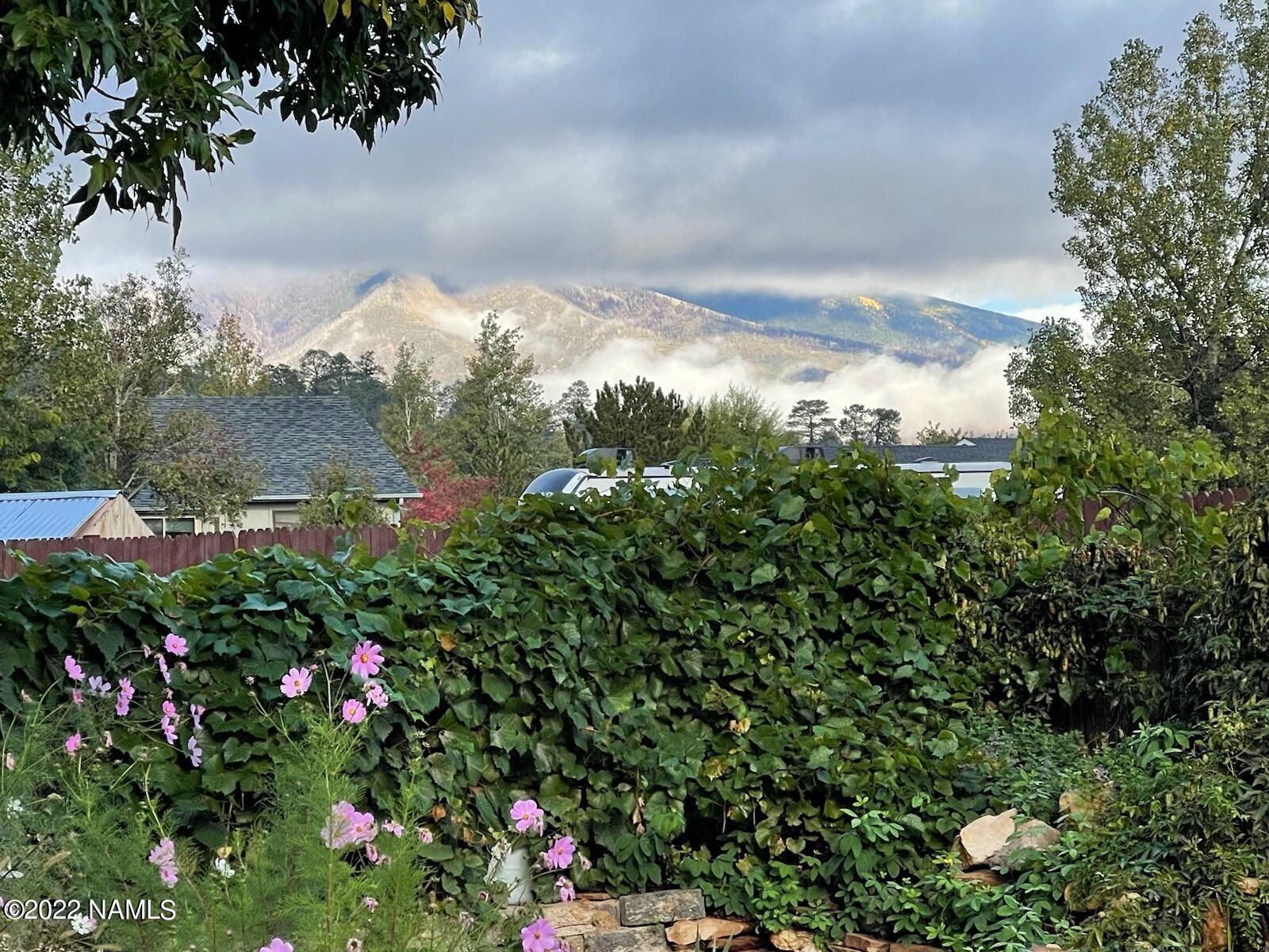 9682 Pioneer Valley Road Flagstaff, AZ 86004 - Photo 2 of 43 Gorgeous view