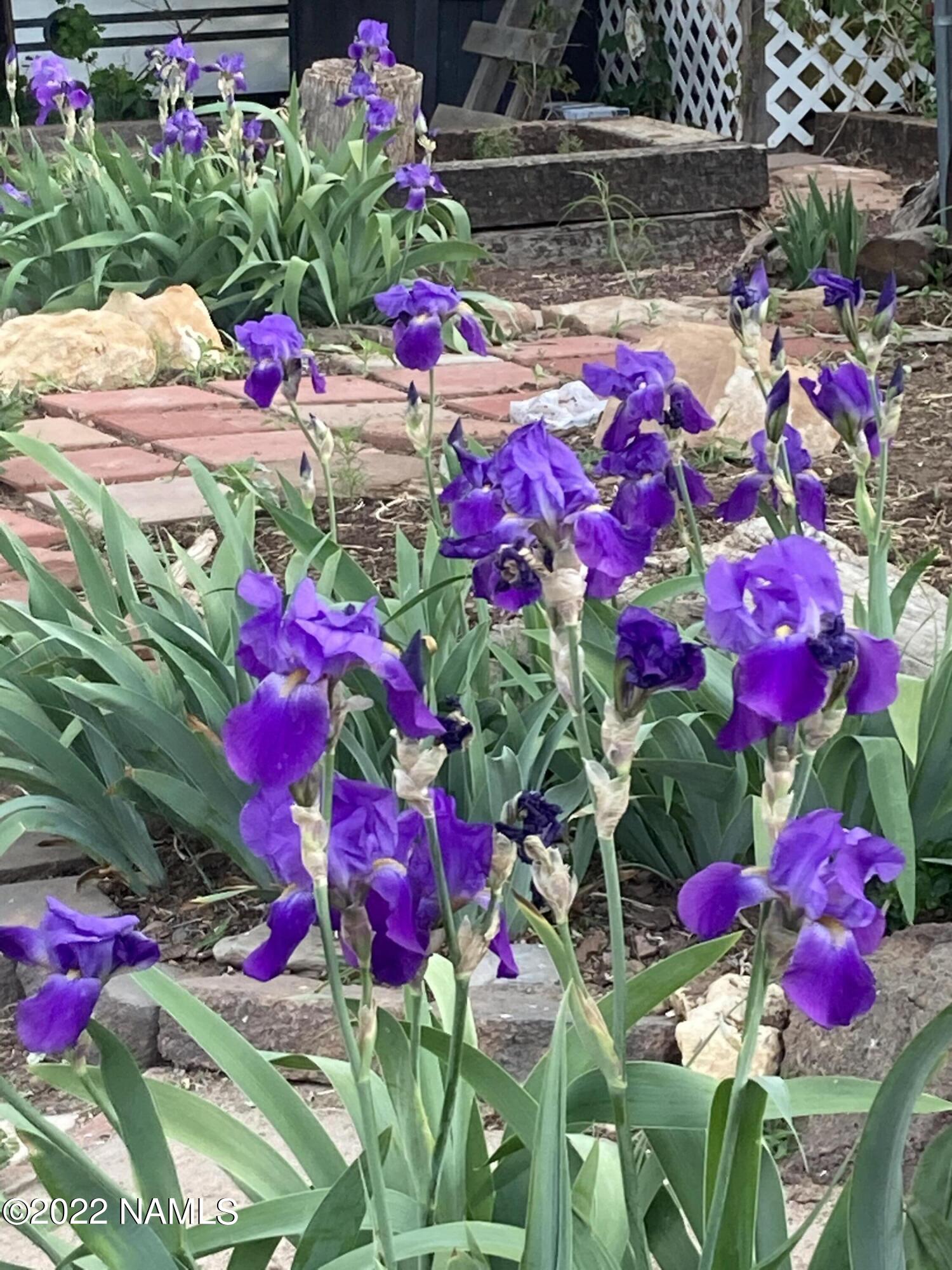 9682 Pioneer Valley Road Flagstaff, AZ 86004 - Photo 37 of 43 greenthumb3