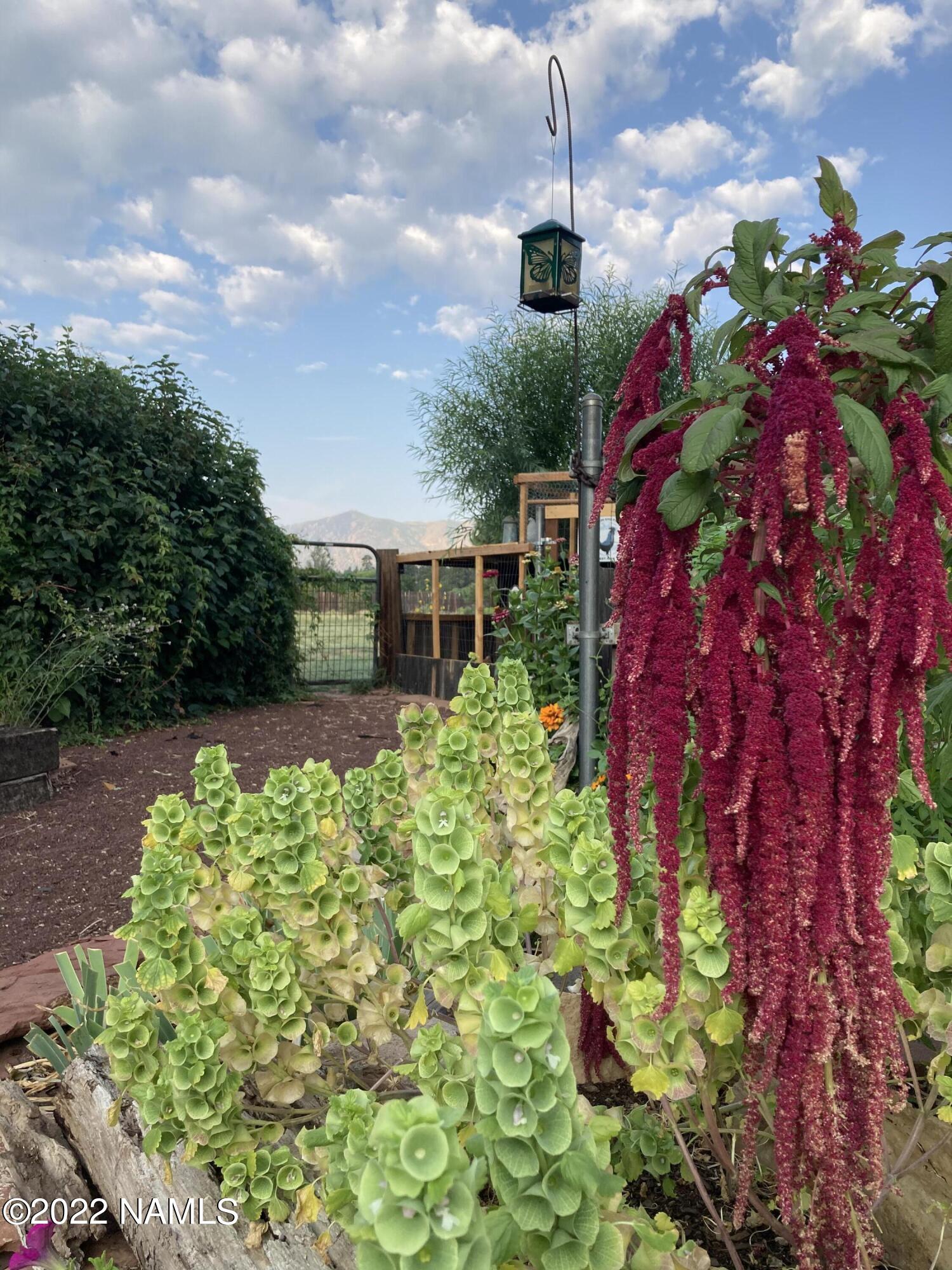 9682 Pioneer Valley Road Flagstaff, AZ 86004 - Photo 38 of 43 greenthumb