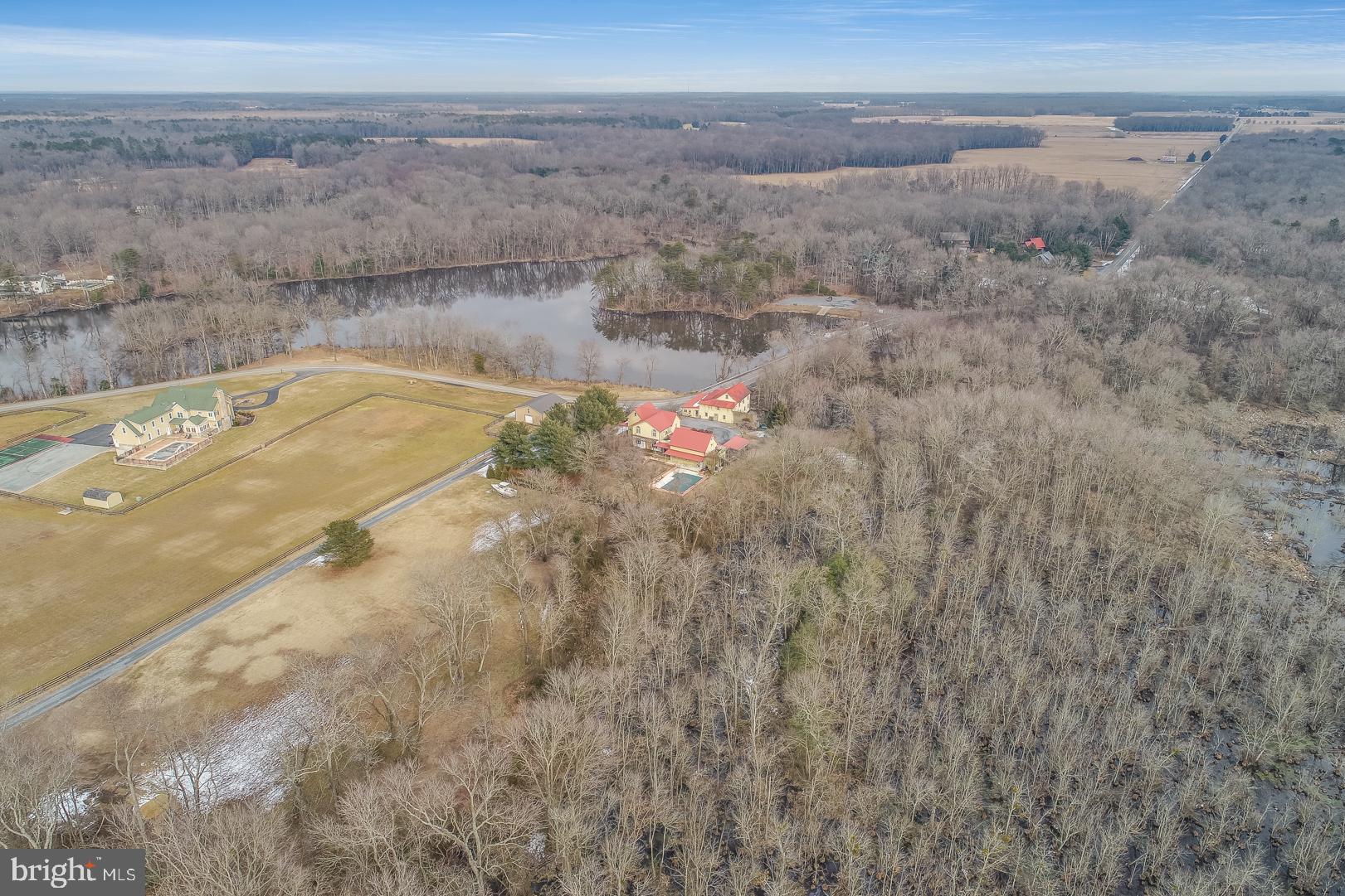 590 Mud Mill Road Marydel, DE 19964 - Photo 23 of 60 10 acres overlooking Mud Mill Pond
