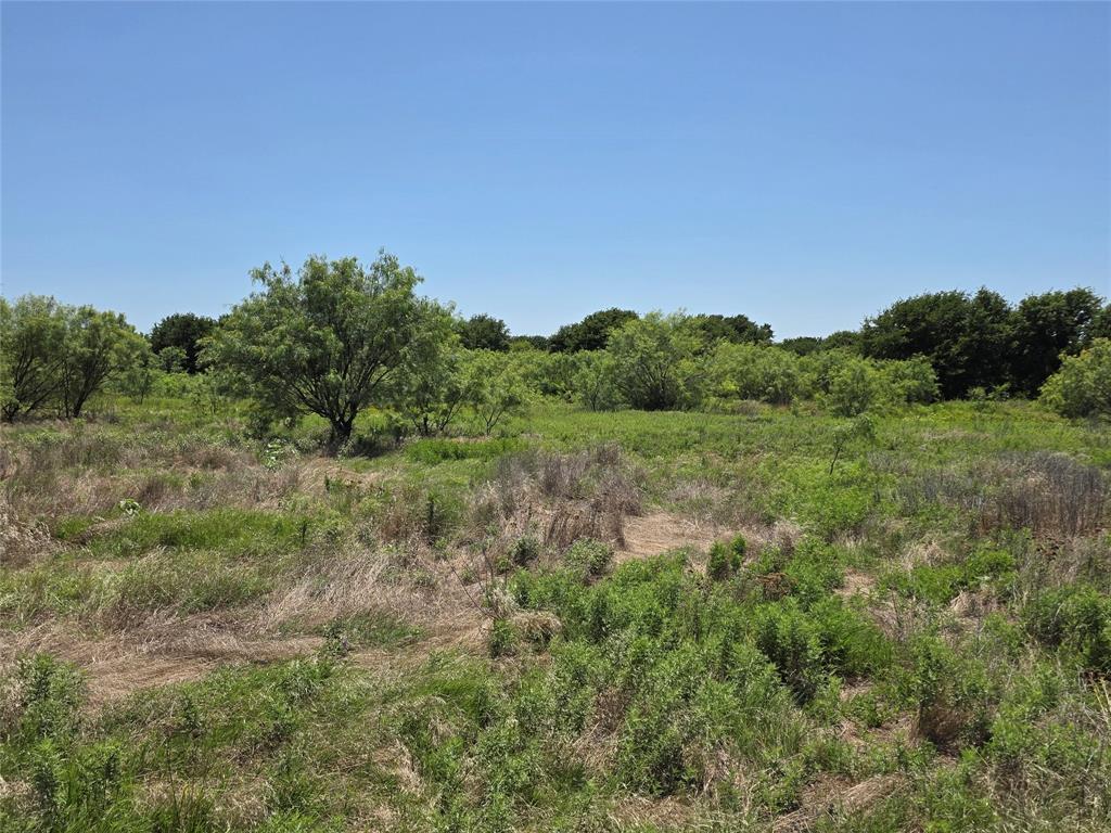 1000 County Road 375 Rising Star, TX 76471 - Photo 18 of 40