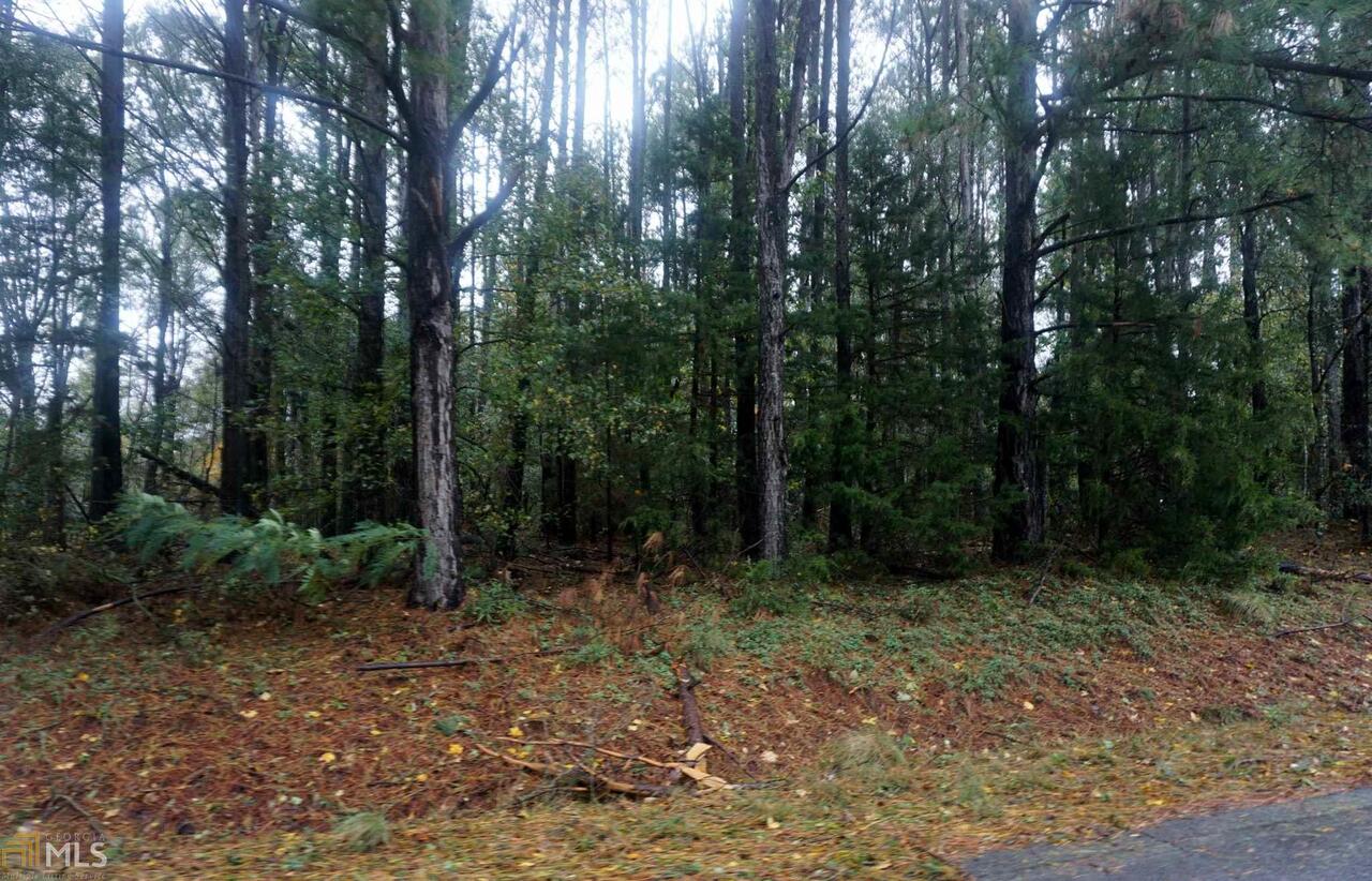 0 Roper Road, Unit 3 Canon, GA 30520 - Photo 1 of 1