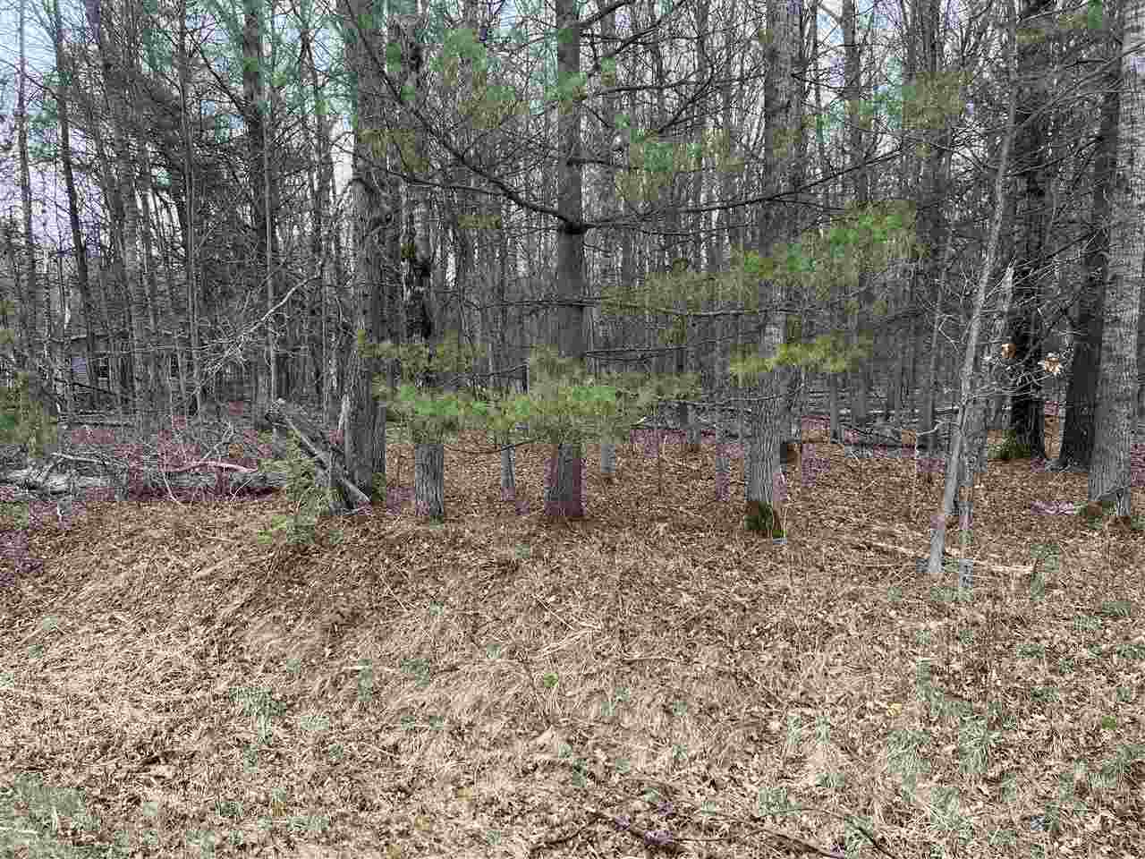 0 Ashard Road Lake, MI 48632 - Photo 1 of 4