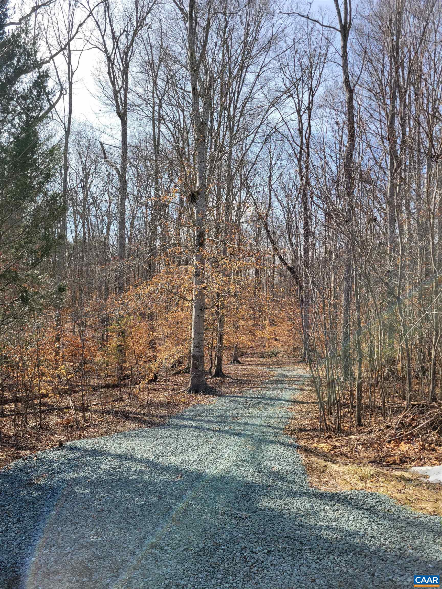 0 Lexie Lane Palmyra, VA 22963 - Photo 2 of 11