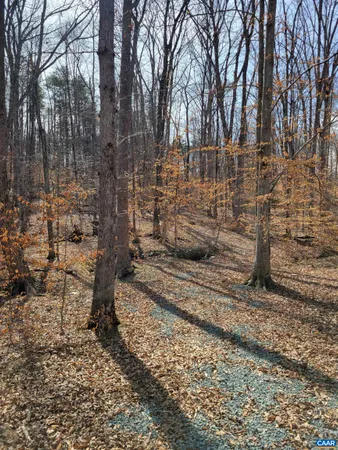 a view of a yard with trees