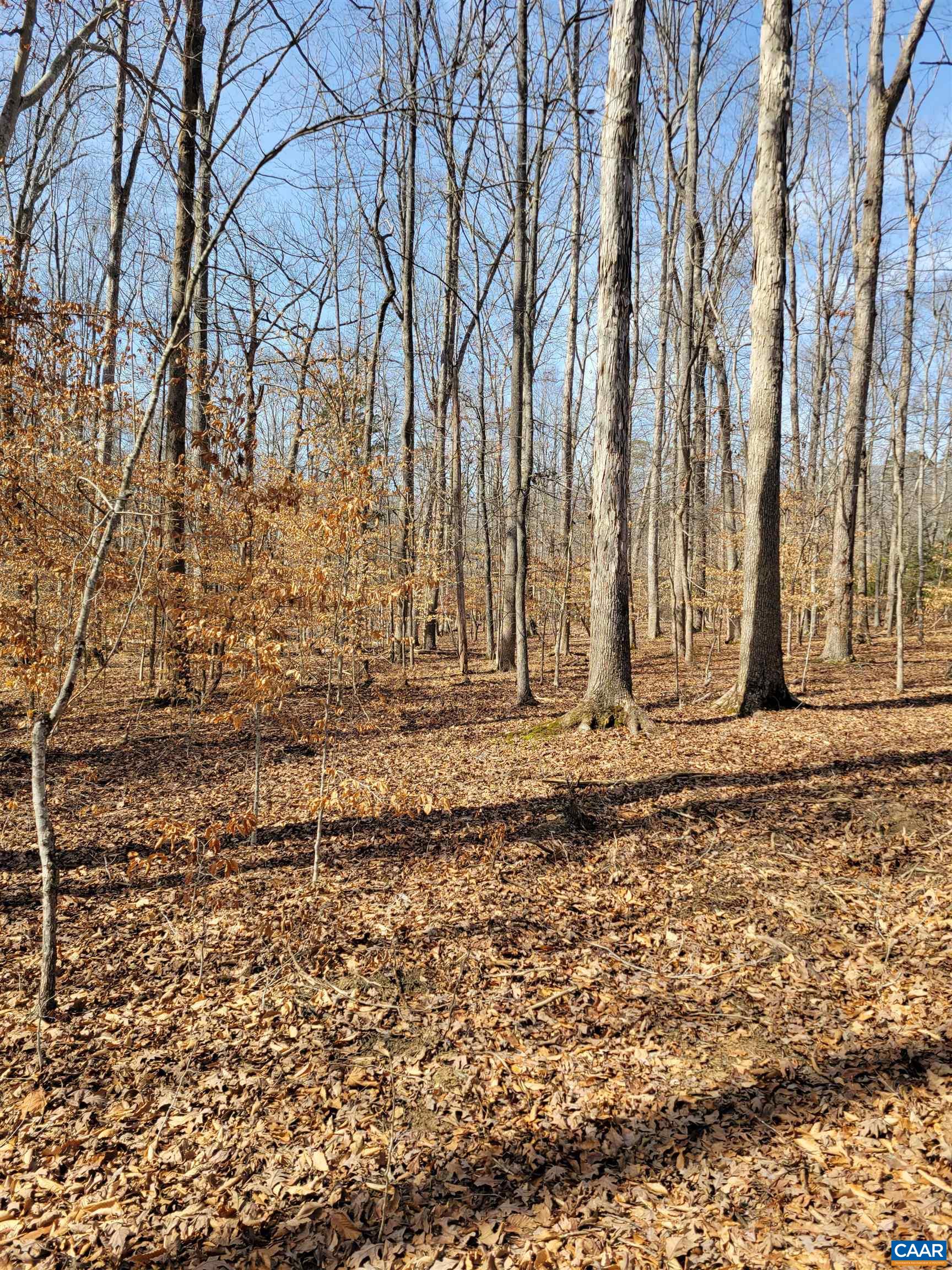 0 Lexie Lane Palmyra, VA 22963 - Photo 4 of 11
