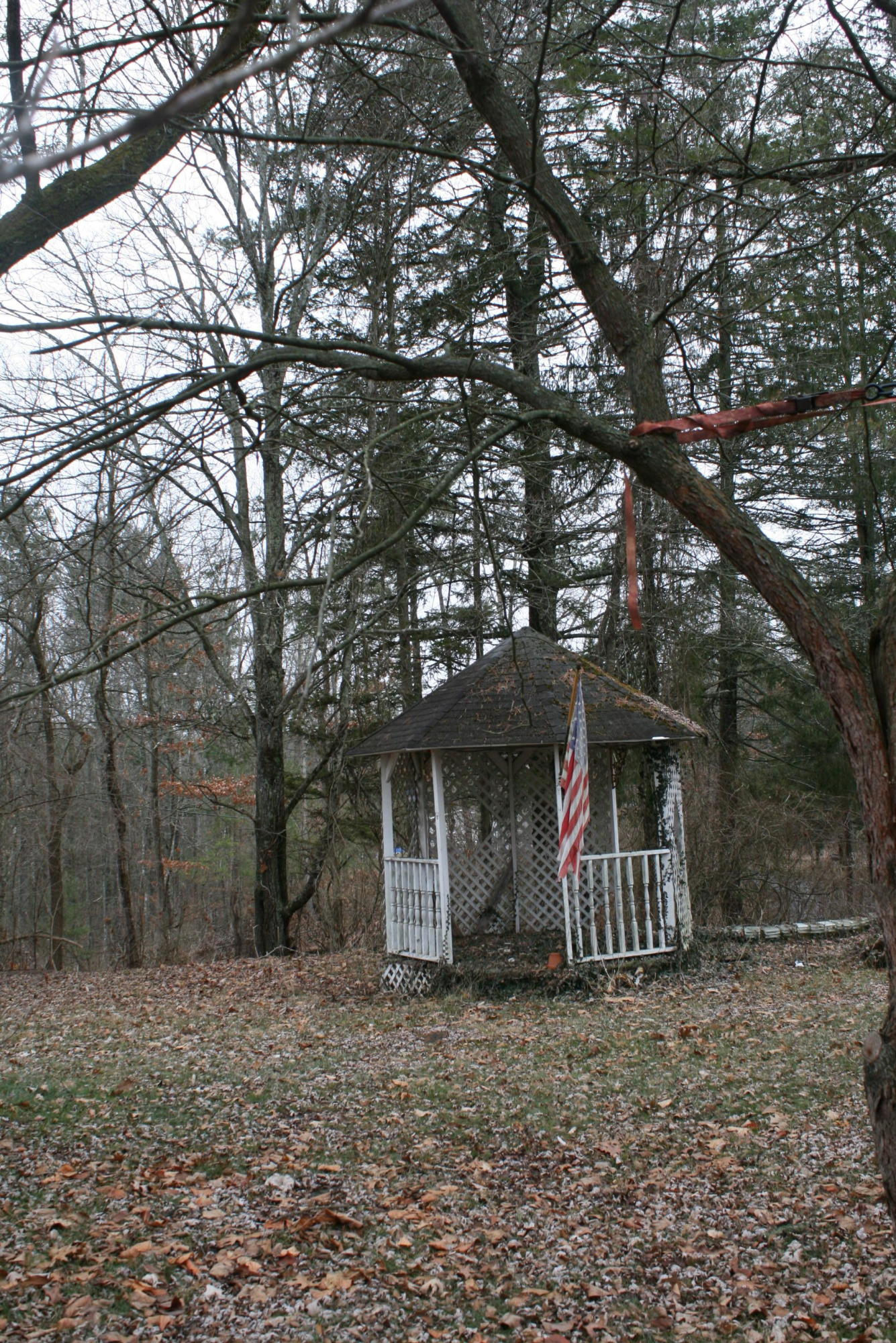 3111 Vago Road Frankford, WV 24938 - Photo 25 of 28 Gallery Image 25