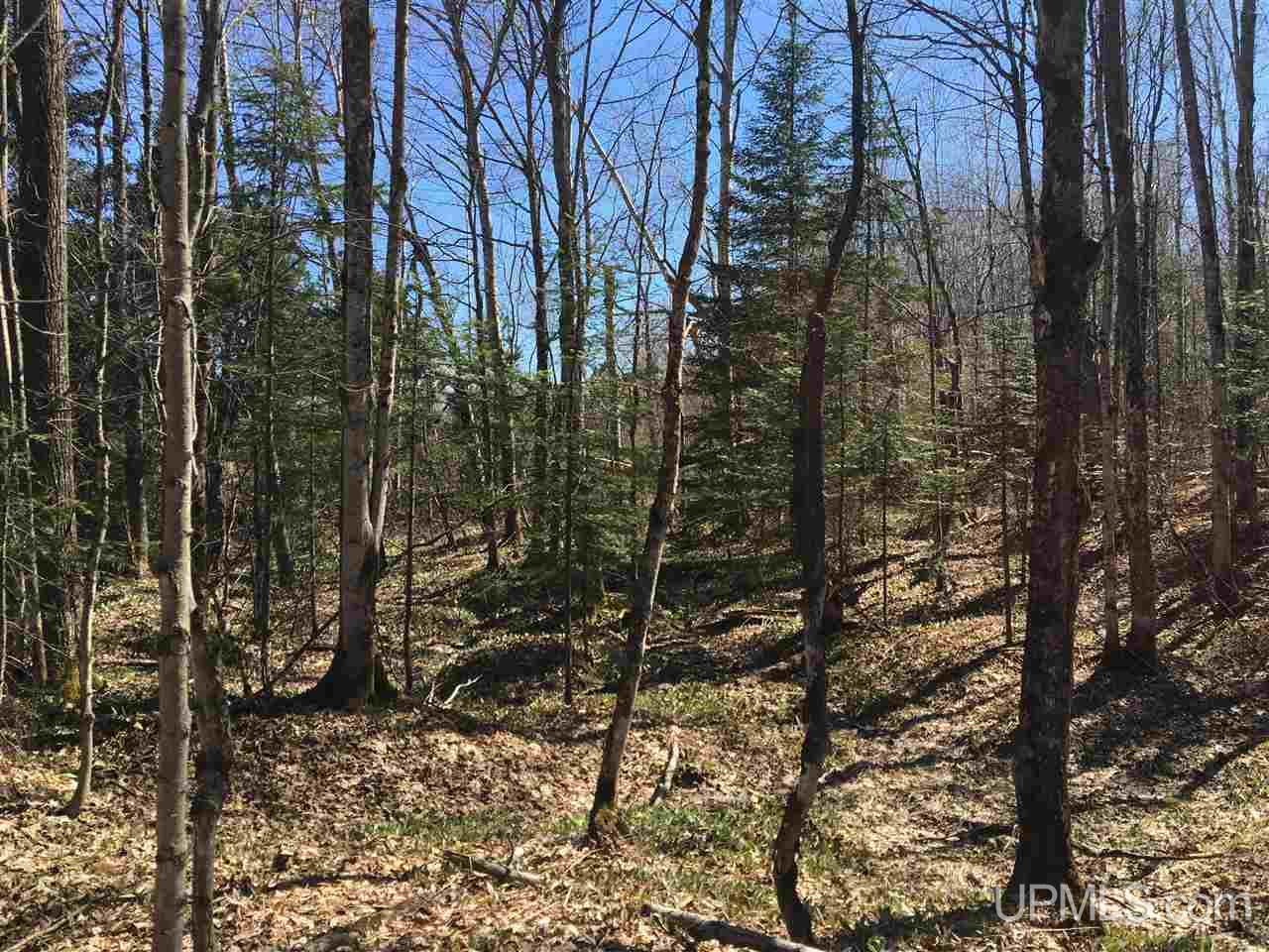 Tbd Chapel Road Munising, MI 49862 - Photo 25 of 36