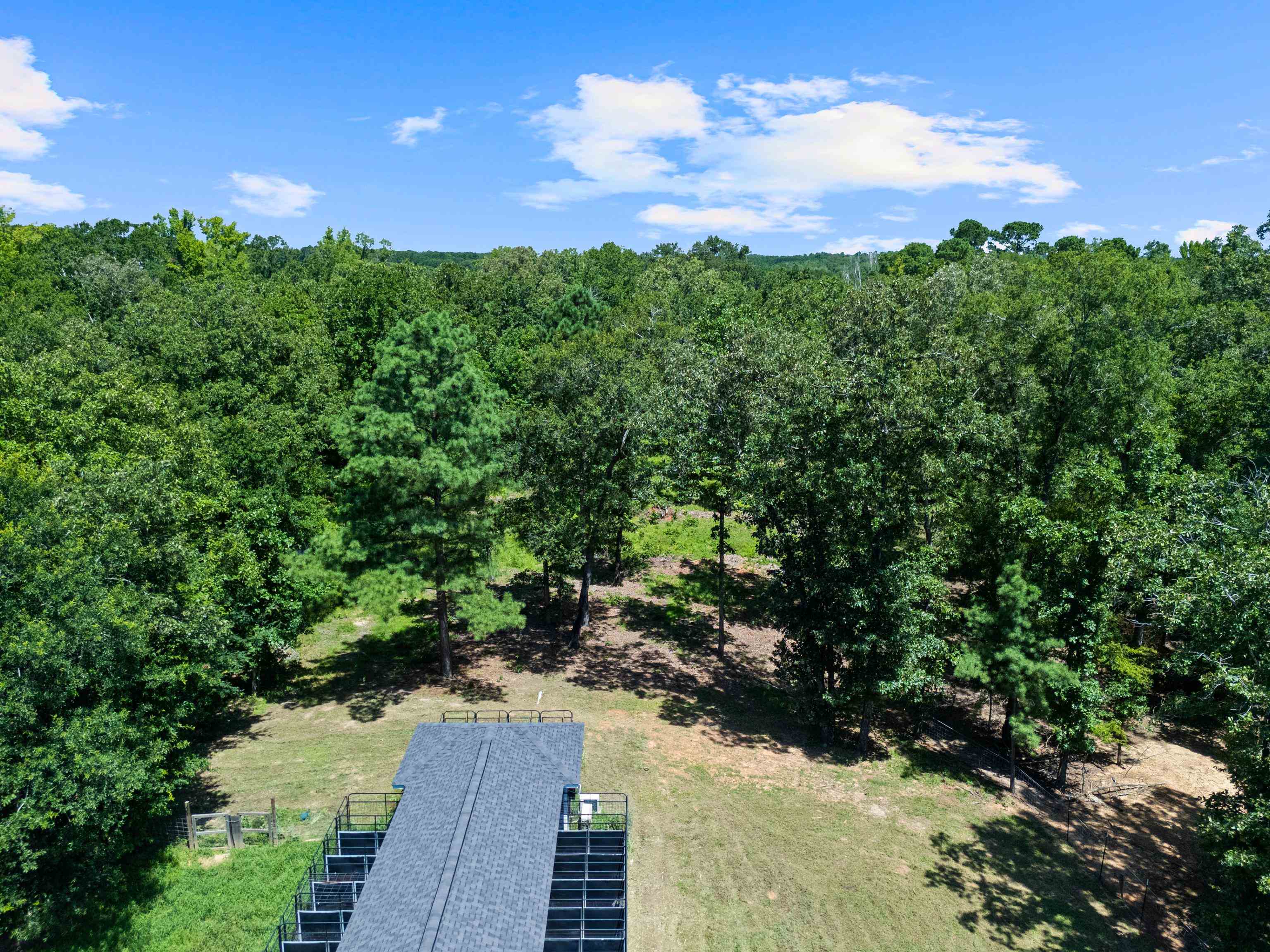 2061 Owens Corner Road Karnack, TX 75661 - Photo 6 of 36 Gallery Image 6