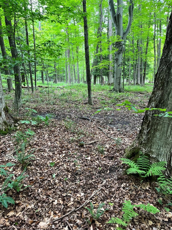 0 Pierce Road White Cloud, MI 49349 - Photo 5 of 7