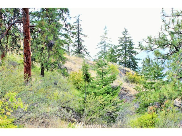 18840 South Lakeshore Road Chelan, WA 98816 - Photo 8 of 15 Gallery Image 8