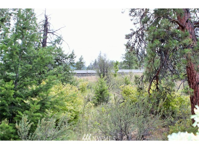 18840 South Lakeshore Road Chelan, WA 98816 - Photo 9 of 15 Gallery Image 9