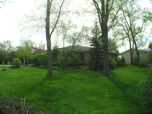 a view of a yard with a tree