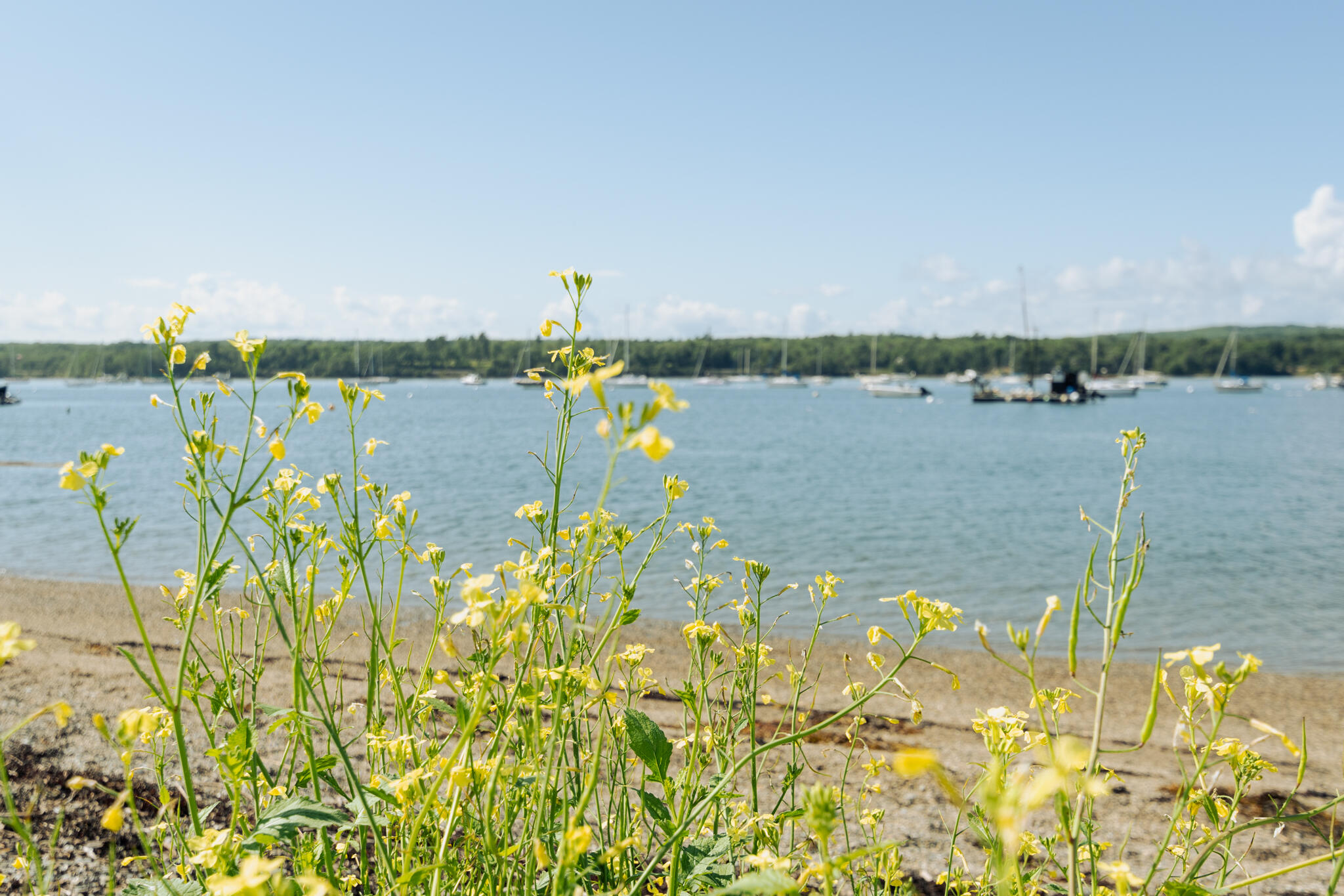 45 Harbor View Drive, Unit 45 Stockton Springs, ME 04981 - Photo 72 of 89 Harbor View-3(1)