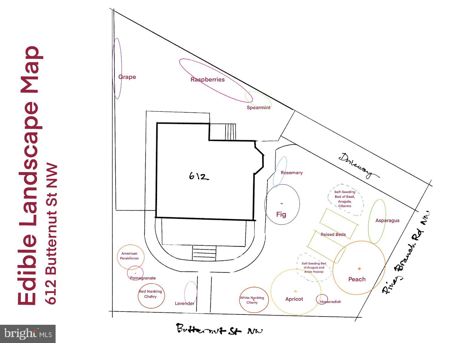 612 Butternut Street Northwest Washington, DC 20012 - Photo 47 of 52
