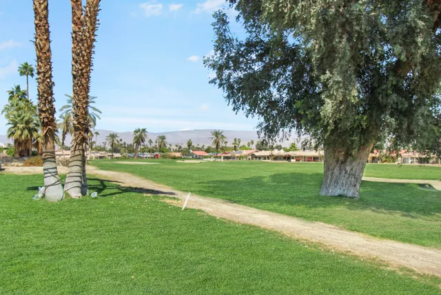 a view of field with tall trees