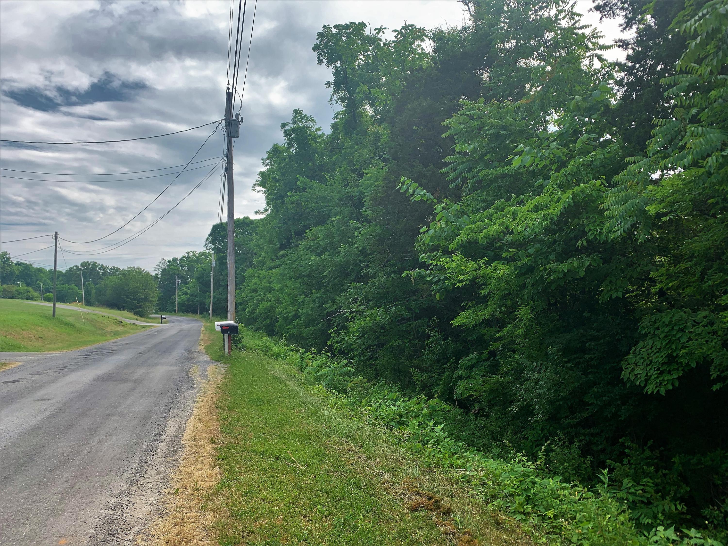 136 Chad Road Jefferson City, TN 37760 - Photo 3 of 5 Road Frontage