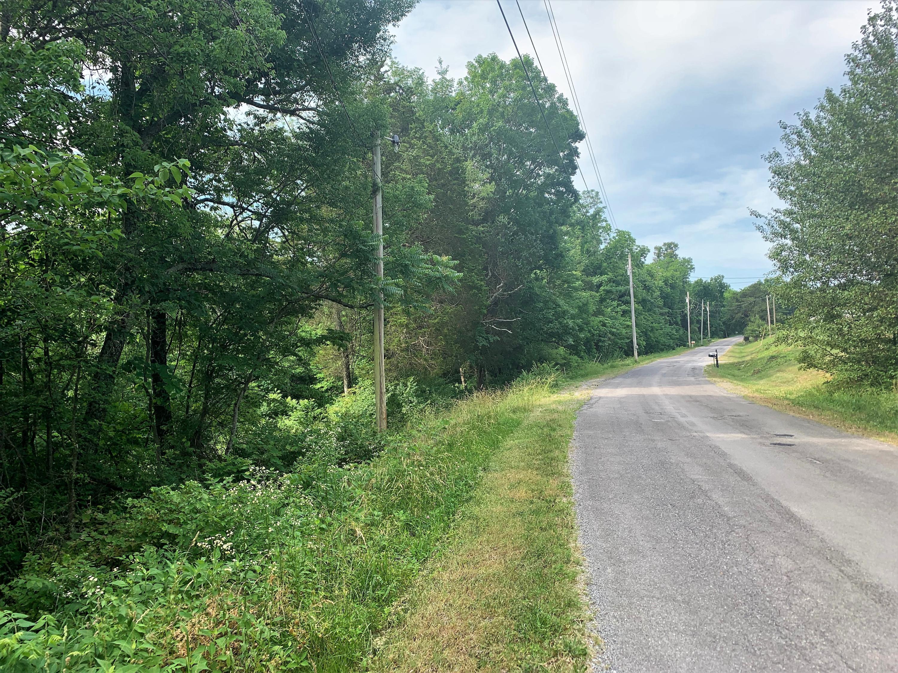136 Chad Road Jefferson City, TN 37760 - Photo 4 of 5 Road Frontage