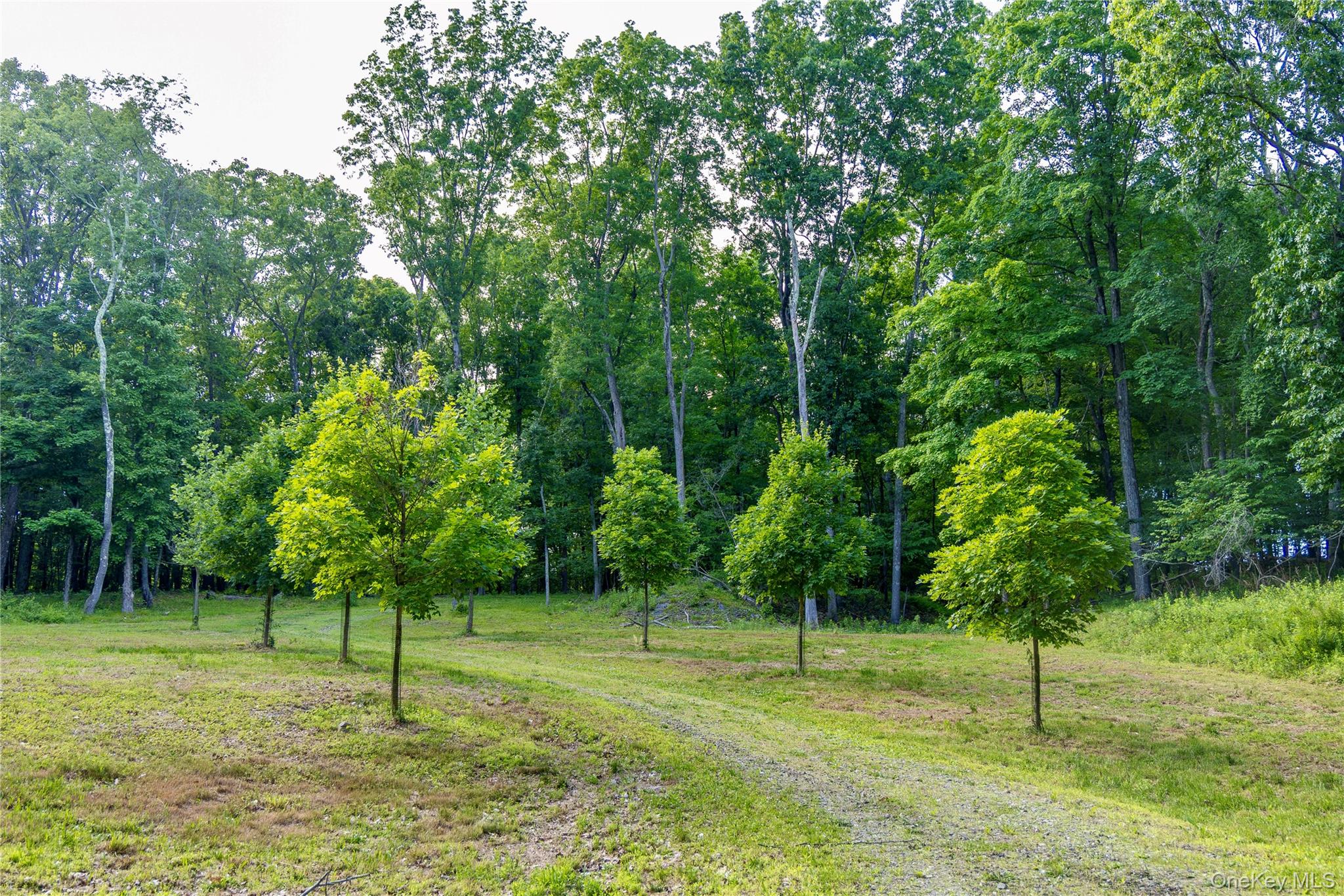 Mallory Road Verbank, NY 12585 - Photo 3 of 16