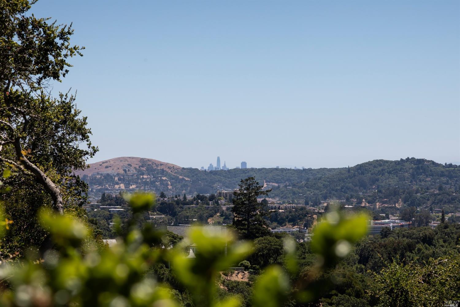 21 Canyon Road Ross, CA 94957 - Photo 27 of 41 a view of a city