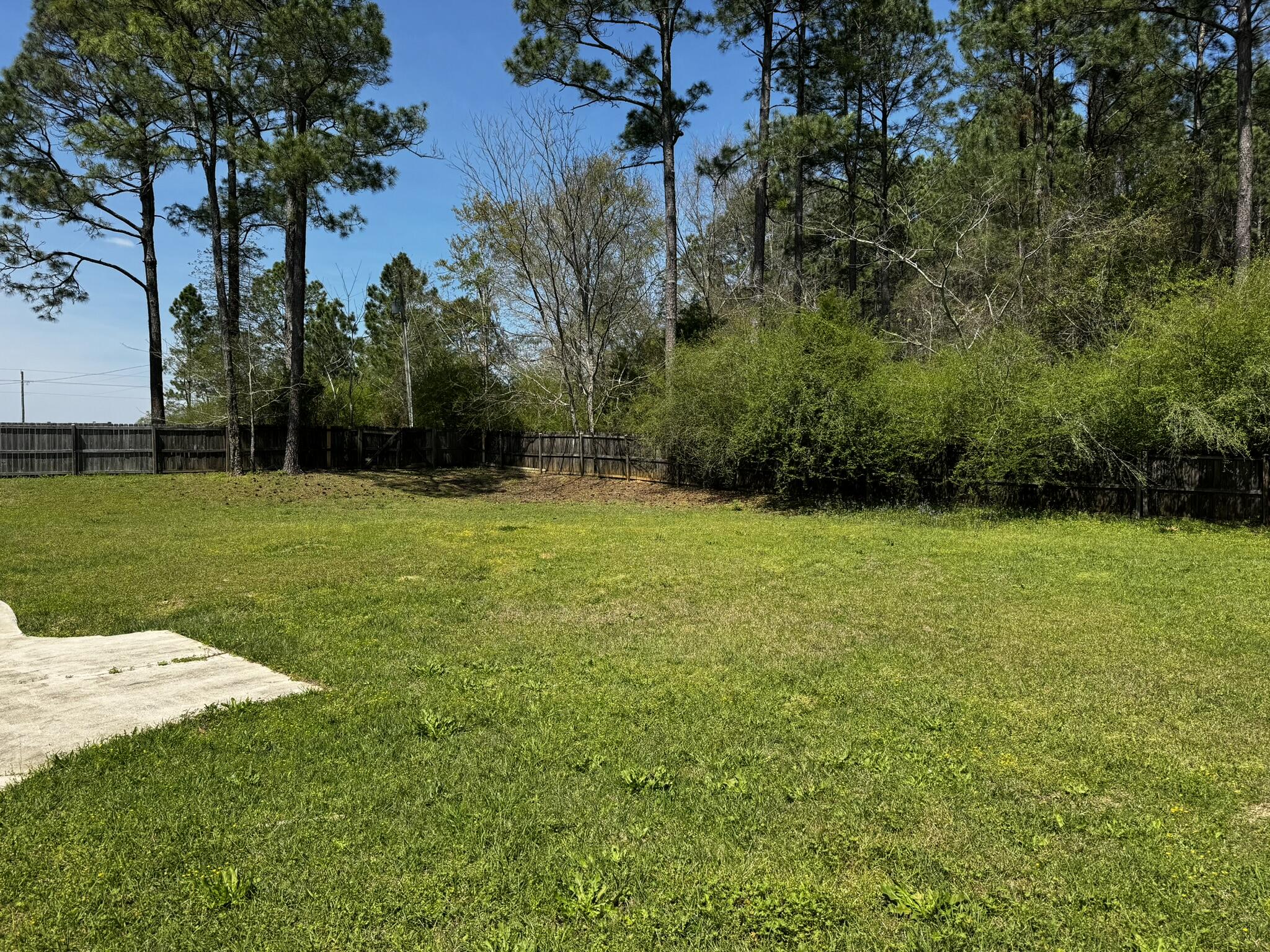 6102 Holloway Road Baker, FL 32531 - Photo 3 of 28 a view of a grassy field with trees