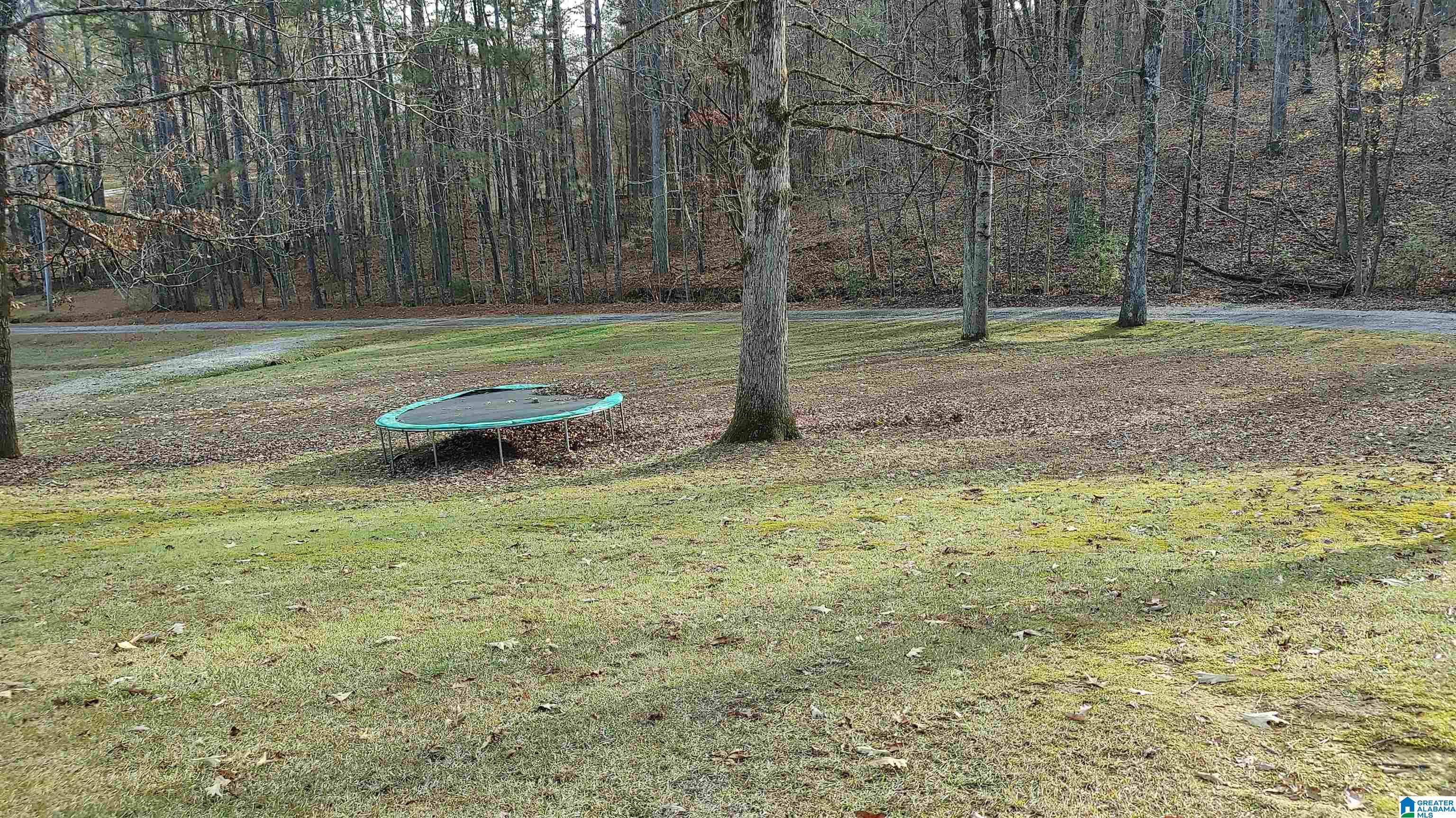 6616 New Castle Road Morris, AL 35116 - Photo 19 of 25