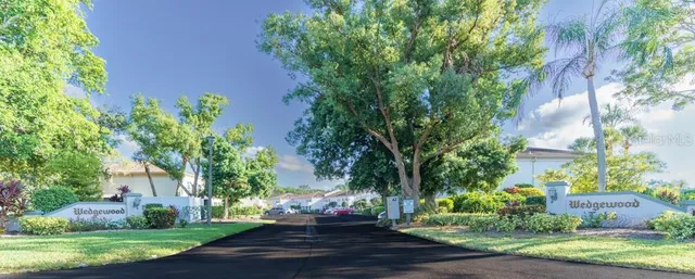 a view of a yard with plants and trees