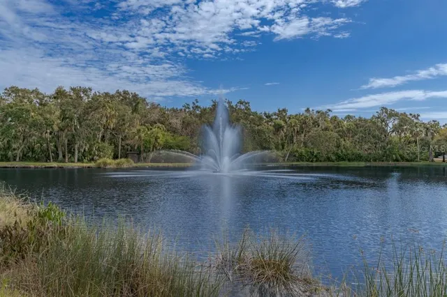 a view of a lake from a yard