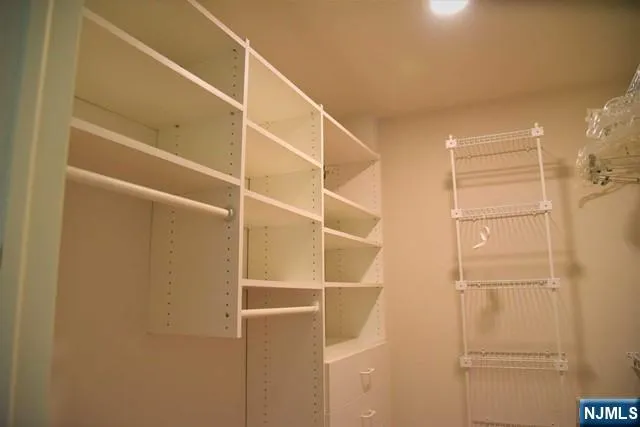 a view of walk in closet with empty racks
