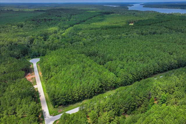 $20,000 | 1070 Cody Trail, Tignall, GA 30668