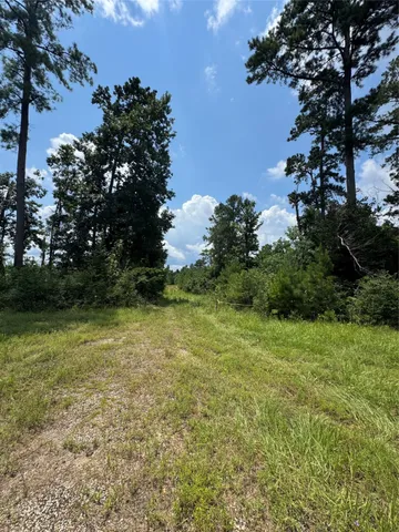 a view of a yard with a tree
