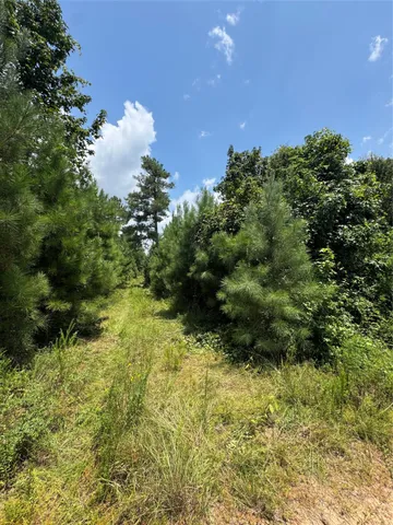 a view of a green yard