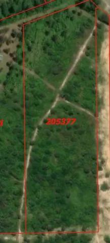 a view of an outdoor space and a yard