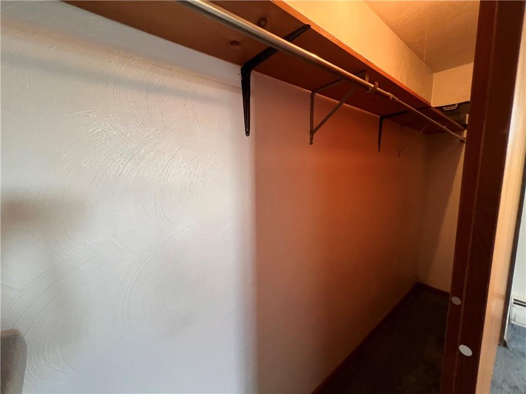 737 Maple Street Harwick, PA 15049 - Photo 18 of 41 Primary closet
