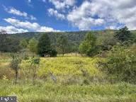 Queens Point Road Westernport, MD 21562 - Photo 5 of 7