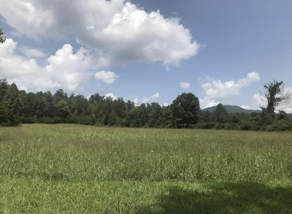 Wilhite Road Cosby, TN 37722 - Photo 1 of 4 2EA32080-C4B5-40BF-9CB4-B47AD7C43A5F