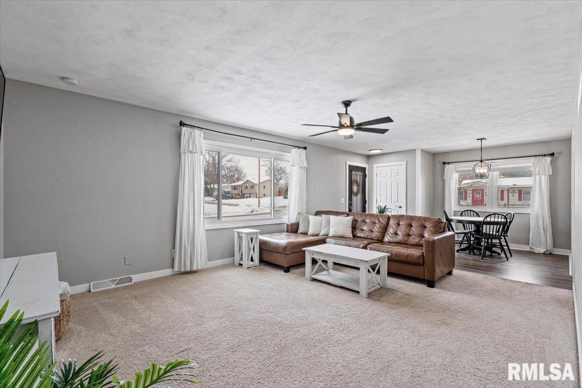 102 Amber Lane Geneseo, IL 61254 - Photo 11 of 62