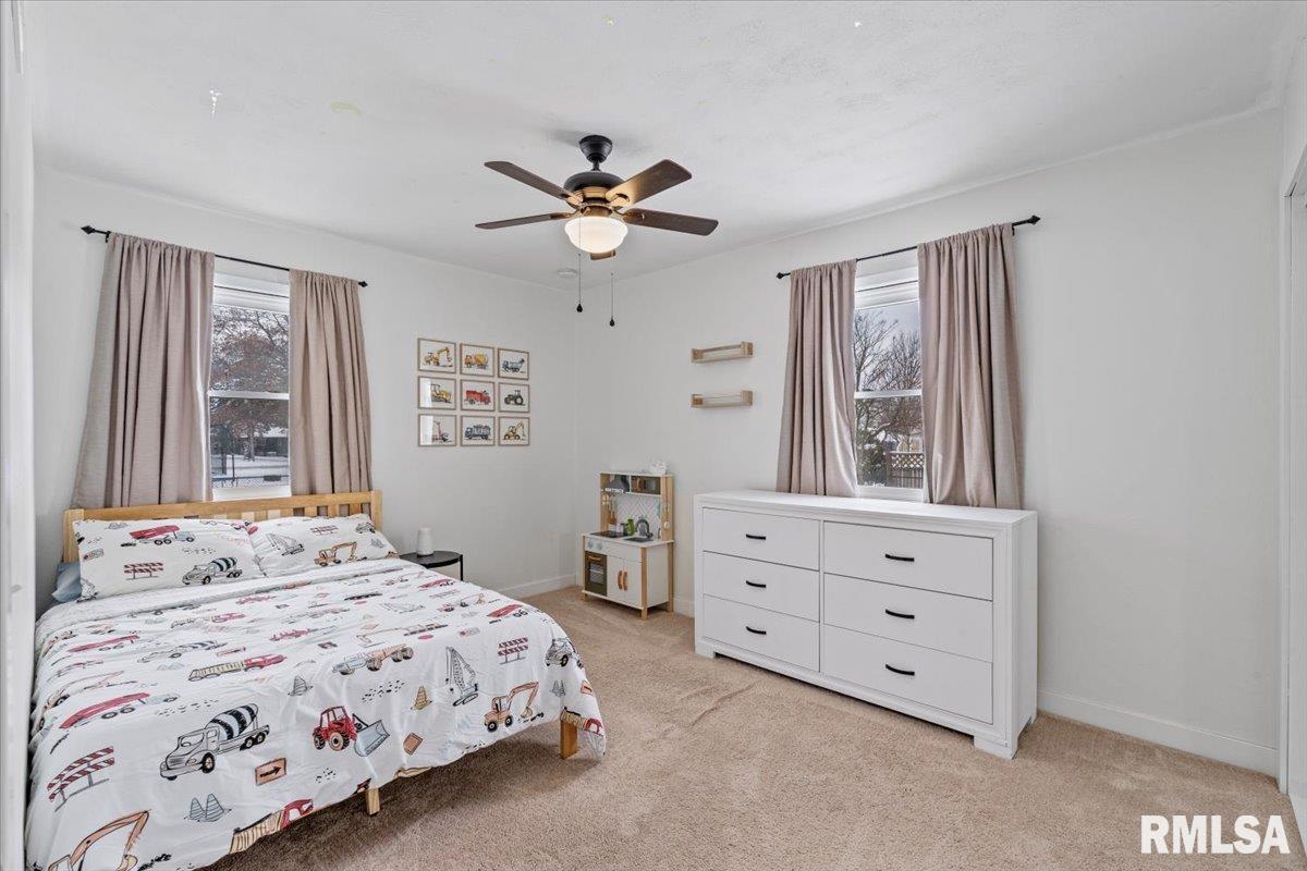 102 Amber Lane Geneseo, IL 61254 - Photo 28 of 62