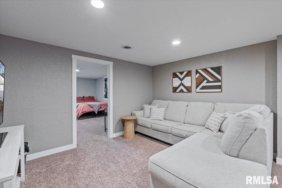 102 Amber Lane Geneseo, IL 61254 - Photo 39 of 62