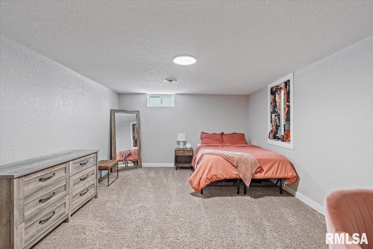 102 Amber Lane Geneseo, IL 61254 - Photo 40 of 62