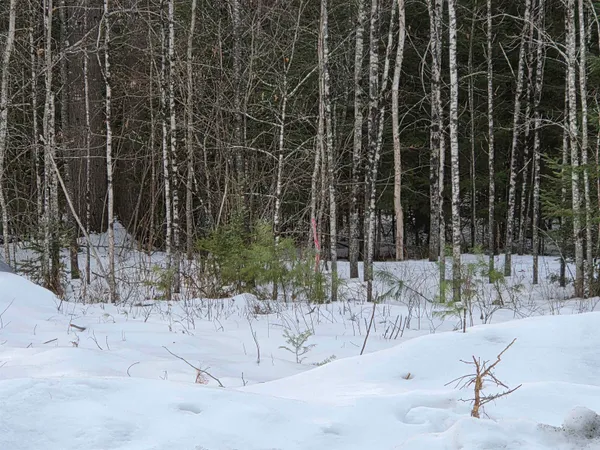 $44,900 | 21 Granite Way, Canaan, NH 03741