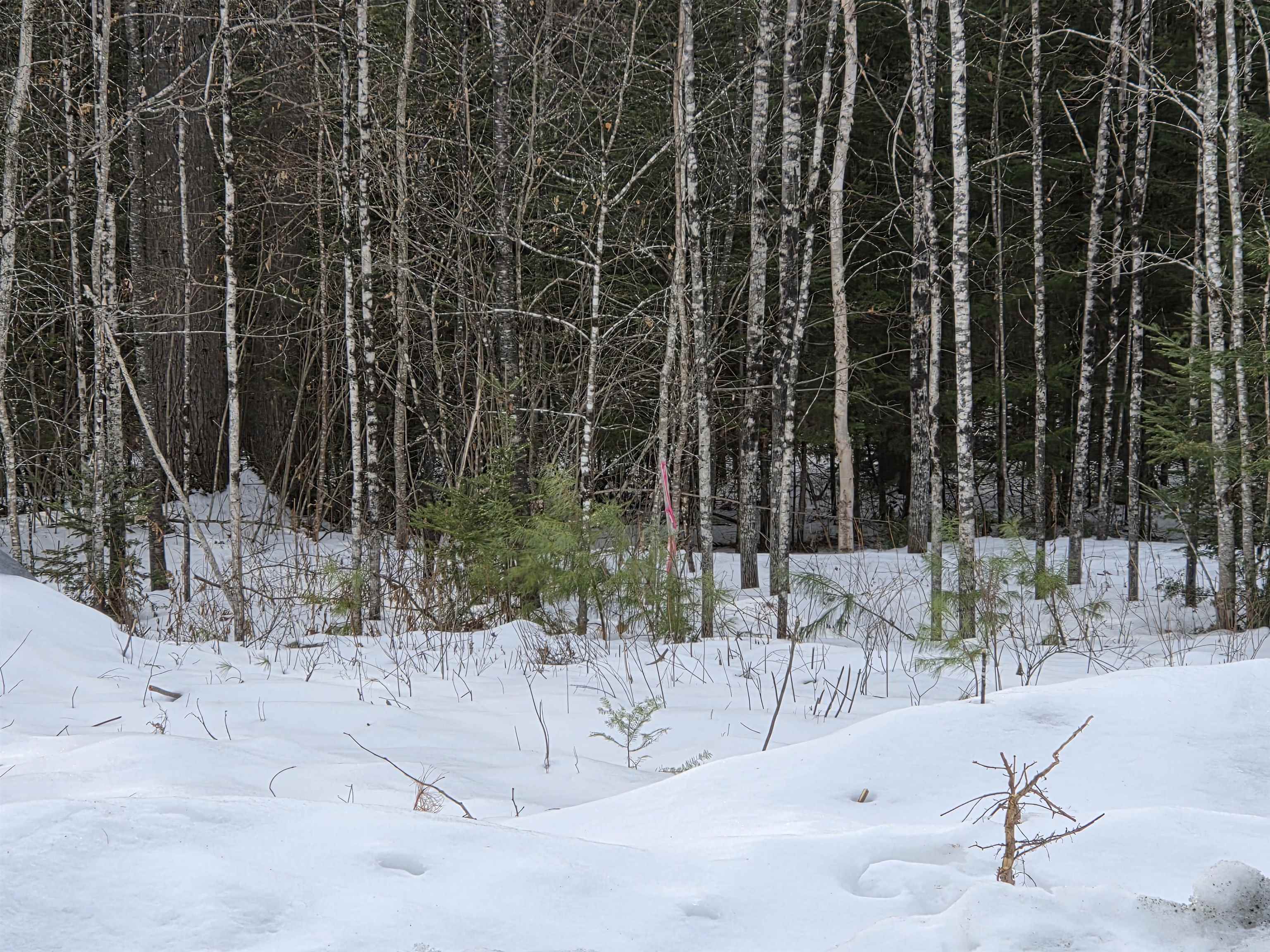 21 Granite Way Canaan, NH 03741 - Photo 1 of 7