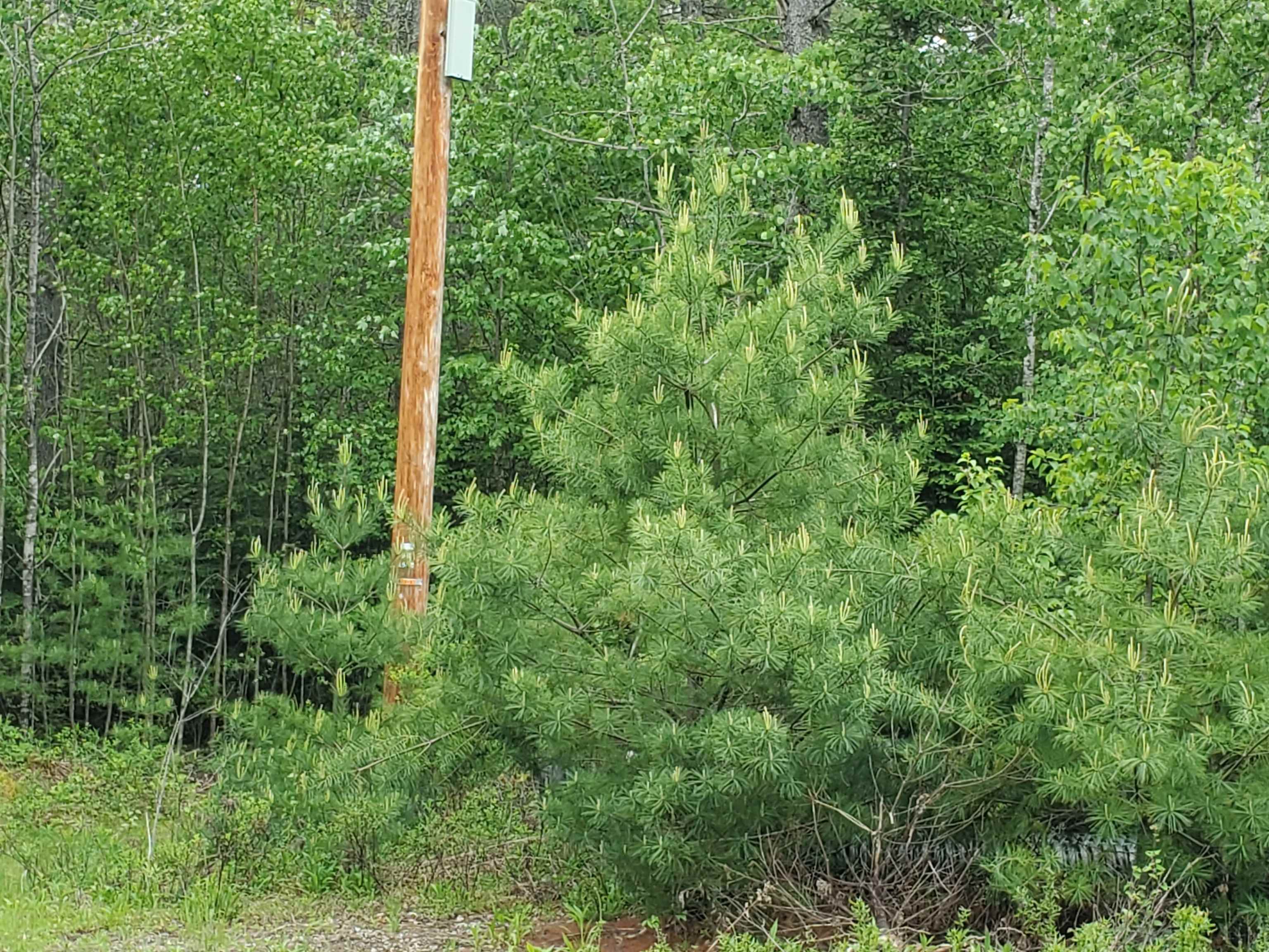 21 Granite Way Canaan, NH 03741 - Photo 2 of 9