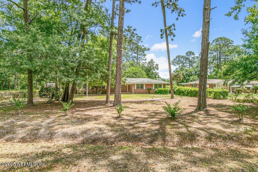 5207 Eulace Road Jacksonville, FL 32210 - Photo 41 of 50 Back Yard