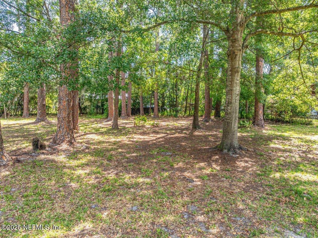 5207 Eulace Road Jacksonville, FL 32210 - Photo 43 of 50 Back Yard